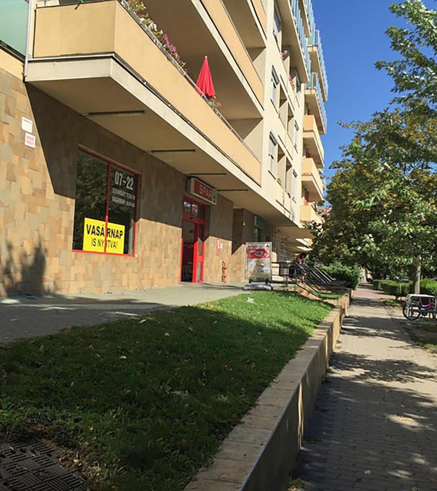 Lovely Home - Free Parking 布达佩斯 外观 照片
